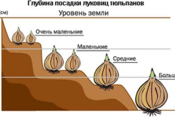 Что такое кракен плейс