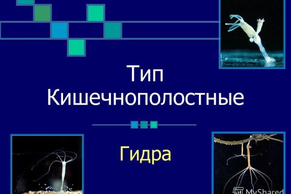 Кракен ссылка kr2link co