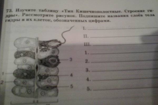 Почему не работает кракен сегодня