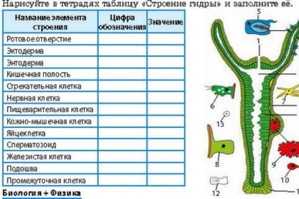 Kraken 4 ссылка